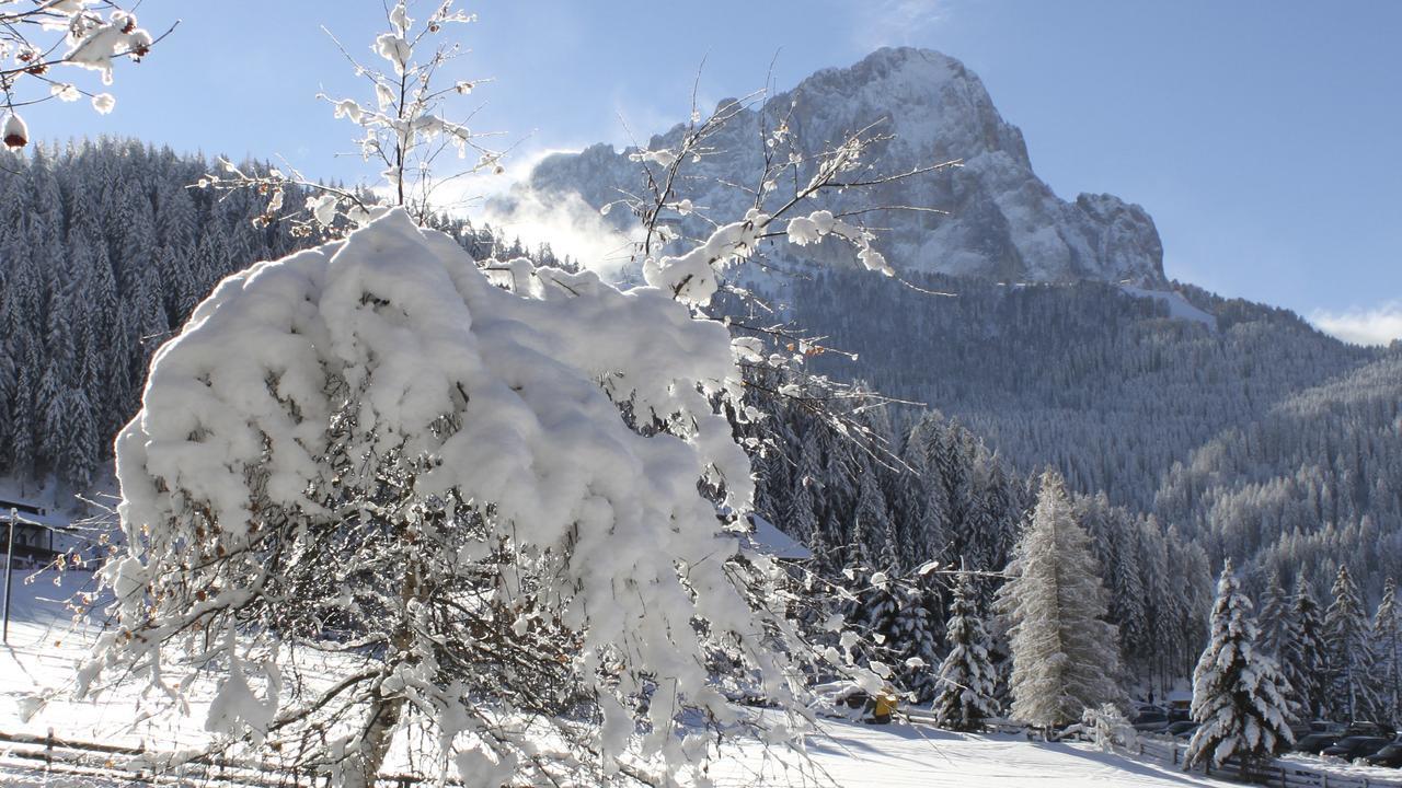 Garni Hotel Rosengarten B&B Selva di Val Gardena Extérieur photo